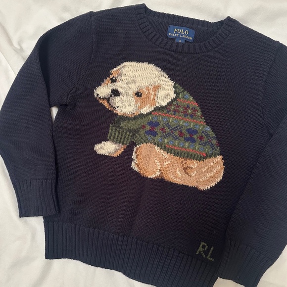 Polo Ralph Lauren Other - Polo Ralph Lauren dog sweater